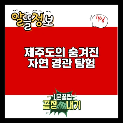 제주도의 숨겨진 자연 경관 탐험