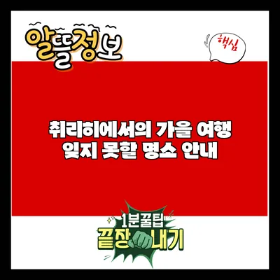 취리히에서의 가을 여행: 잊지 못할 명소 안내