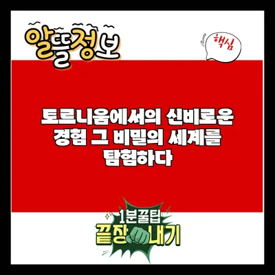 토르니움에서의 신비로운 경험: 그 비밀의 세계를 탐험하다