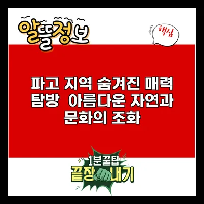 파고 지역 숨겨진 매력 탐방 : 아름다운 자연과 문화의 조화