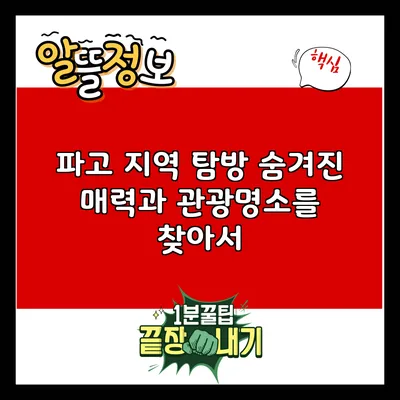 파고 지역 탐방: 숨겨진 매력과 관광명소를 찾아서