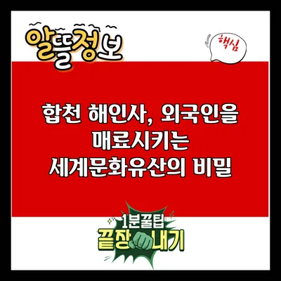 합천 해인사, 외국인을 매료시키는 세계문화유산의 비밀