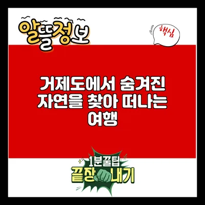 거제도에서 숨겨진 자연을 찾아 떠나는 여행