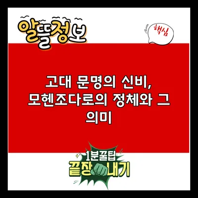 고대 문명의 신비, 모헨조다로의 정체와 그 의미