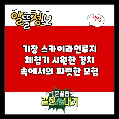 기장 스카이라인루지 체험기: 시원한 경치 속에서의 짜릿한 모험