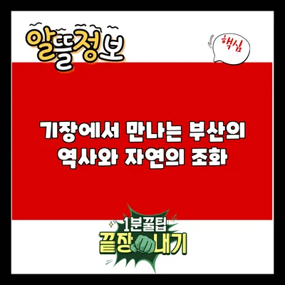 기장에서 만나는 부산의 역사와 자연의 조화