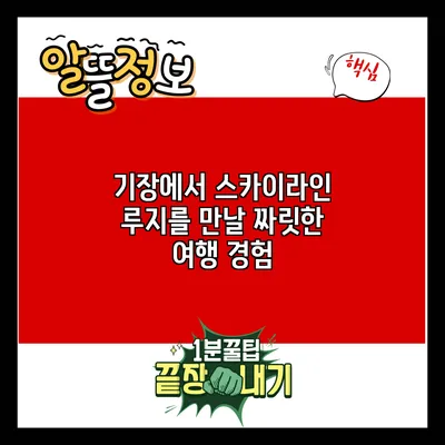 기장에서 스카이라인 루지를 만날 짜릿한 여행 경험