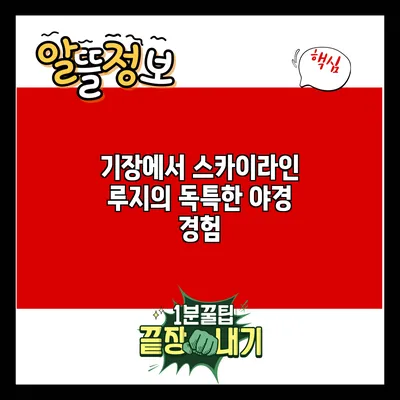 기장에서 스카이라인 루지의 독특한 야경 경험