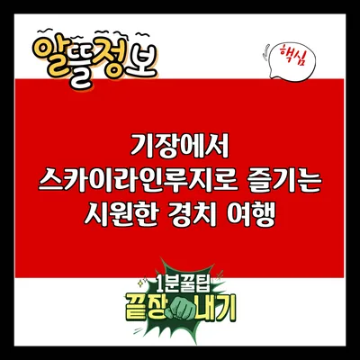 기장에서 스카이라인루지로 즐기는 시원한 경치 여행