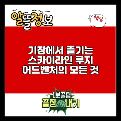 기장에서 즐기는 스카이라인 루지 어드벤처의 모든 것