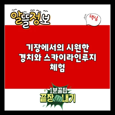 기장에서의 시원한 경치와 스카이라인루지 체험