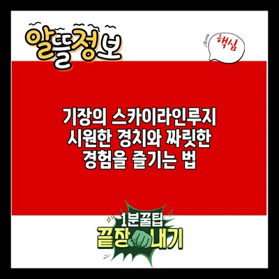 기장의 스카이라인루지: 시원한 경치와 짜릿한 경험을 즐기는 법