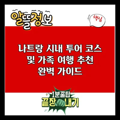 나트랑 시내 투어 코스 및 가족 여행 추천 완벽 가이드