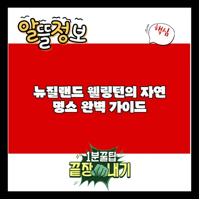 뉴질랜드 웰링턴의 자연 명소 완벽 가이드