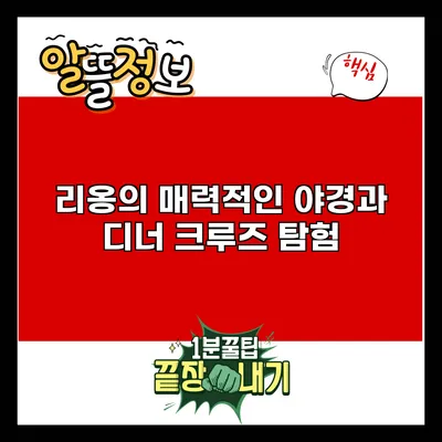리옹의 매력적인 야경과 디너 크루즈 탐험