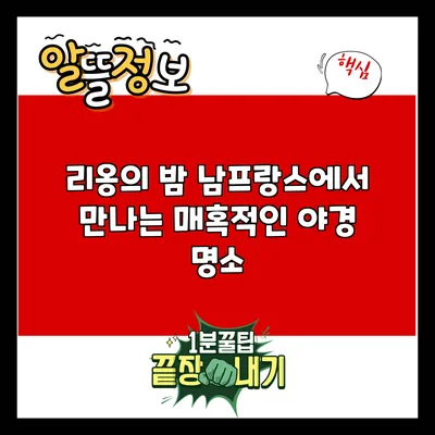 리옹의 밤: 남프랑스에서 만나는 매혹적인 야경 명소