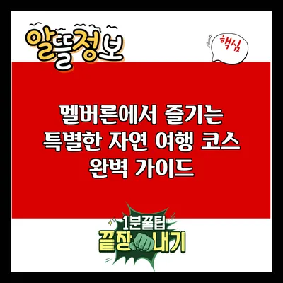 멜버른에서 즐기는 특별한 자연 여행 코스 완벽 가이드