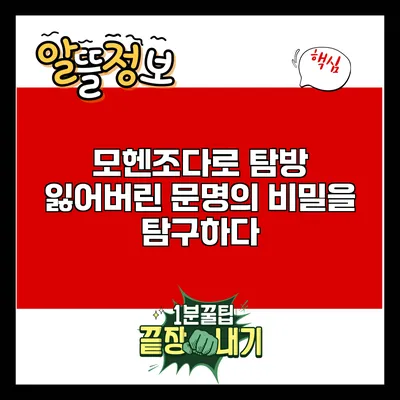 모헨조다로 탐방: 잃어버린 문명의 비밀을 탐구하다