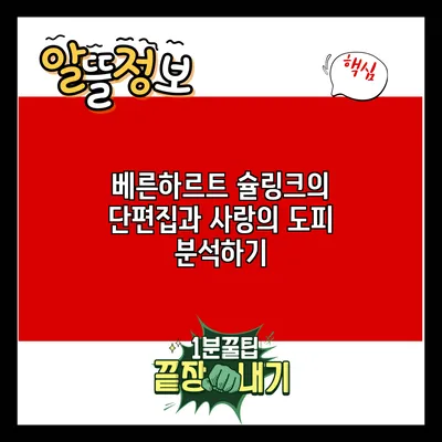 베른하르트 슐링크의 단편집과 사랑의 도피 분석하기