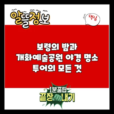 보령의 밤과 개화예술공원: 야경 명소 투어의 모든 것