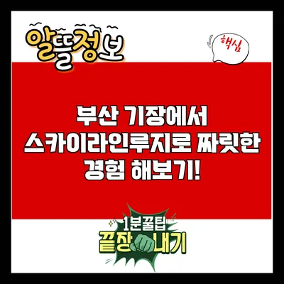 부산 기장에서 스카이라인루지로 짜릿한 경험 해보기!