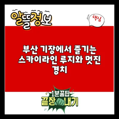 부산 기장에서 즐기는 스카이라인 루지와 멋진 경치