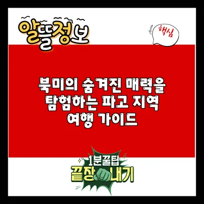 북미의 숨겨진 매력을 탐험하는 파고 지역 여행 가이드