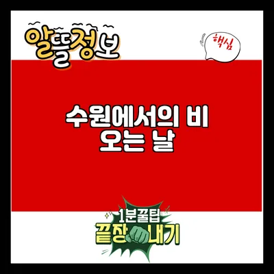 수원에서의 비 오는 날