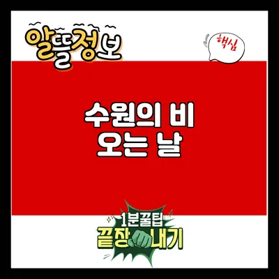 수원의 비 오는 날
