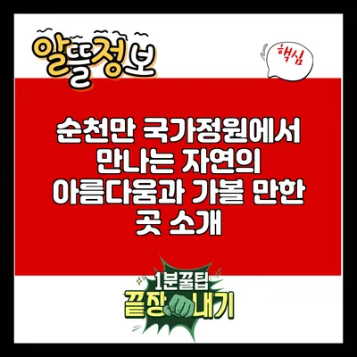 순천만 국가정원에서 만나는 자연의 아름다움과 가볼 만한 곳 소개