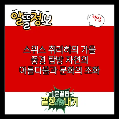 스위스 취리히의 가을 풍경 탐방: 자연의 아름다움과 문화의 조화