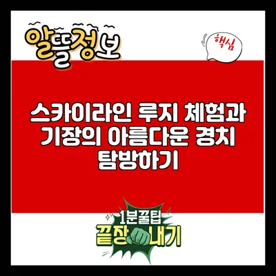 스카이라인 루지 체험과 기장의 아름다운 경치 탐방하기