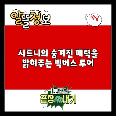 시드니의 숨겨진 매력을 밝혀주는 빅버스 투어