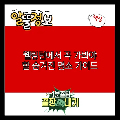 웰링턴에서 꼭 가봐야 할 숨겨진 명소 가이드