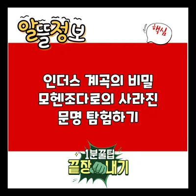 인더스 계곡의 비밀: 모헨조다로의 사라진 문명 탐험하기