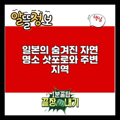 일본의 숨겨진 자연 명소: 삿포로와 주변 지역