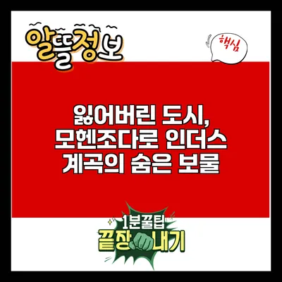 잃어버린 도시, 모헨조다로: 인더스 계곡의 숨은 보물