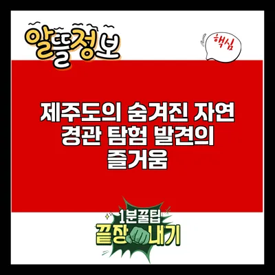 제주도의 숨겨진 자연 경관 탐험: 발견의 즐거움