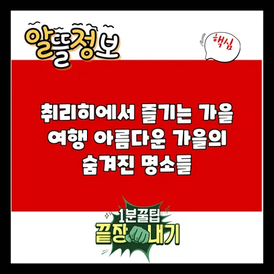 취리히에서 즐기는 가을 여행: 아름다운 가을의 숨겨진 명소들