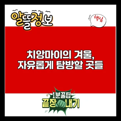 치앙마이의 겨울, 자유롭게 탐방할 곳들