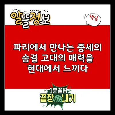 파리에서 만나는 중세의 숨결: 고대의 매력을 현대에서 느끼다