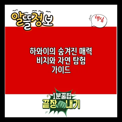 하와이의 숨겨진 매력: 비치와 자연 탐험 가이드