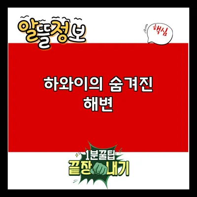 하와이의 숨겨진 해변