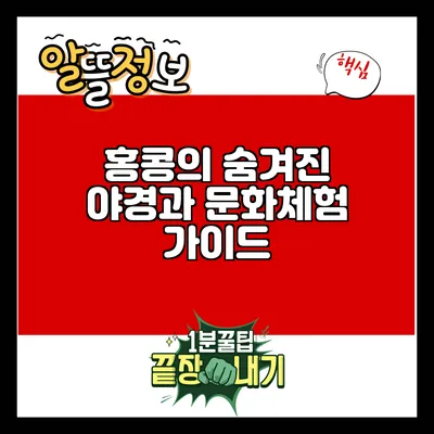 홍콩의 숨겨진 야경과 문화체험 가이드