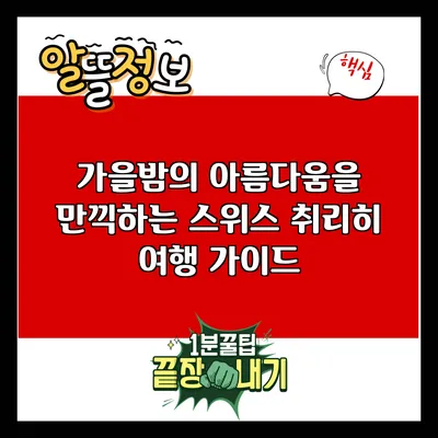 가을밤의 아름다움을 만끽하는 스위스 취리히 여행 가이드