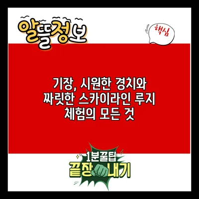 기장, 시원한 경치와 짜릿한 스카이라인 루지 체험의 모든 것