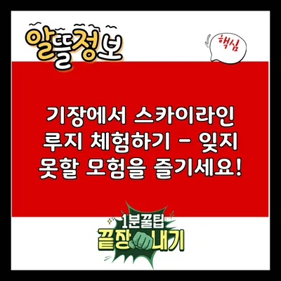 기장에서 스카이라인 루지 체험하기 – 잊지 못할 모험을 즐기세요!