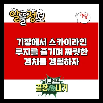 기장에서 스카이라인 루지를 즐기며 짜릿한 경치를 경험하자