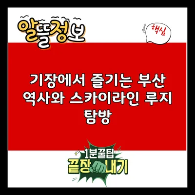 기장에서 즐기는 부산 역사와 스카이라인 루지 탐방