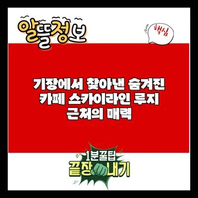 기장에서 찾아낸 숨겨진 카페: 스카이라인 루지 근처의 매력